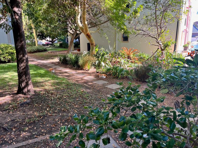1 Bedroom Property for Sale in Rondebosch Western Cape